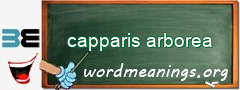 WordMeaning blackboard for capparis arborea